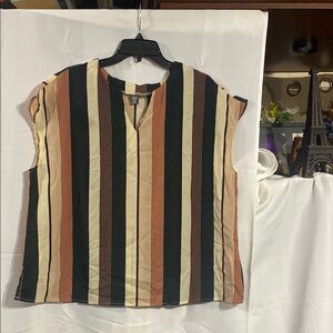 Striped Sleeveless Top in Black, Brown, and Cream